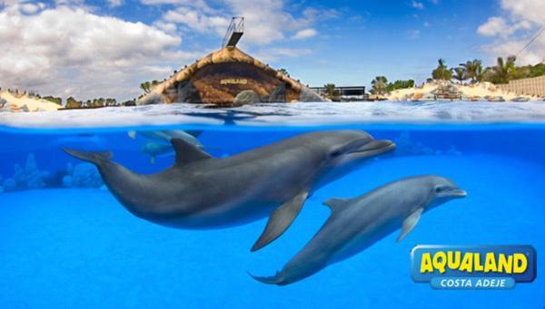 Royal Ocean View - Top Localization Costa Adeje  Exterior foto